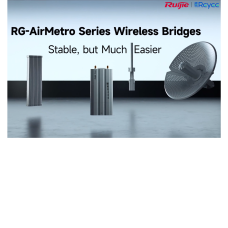 RG-AirMetro460F, CPE of RG-AirMetro Series Wireless Bridges